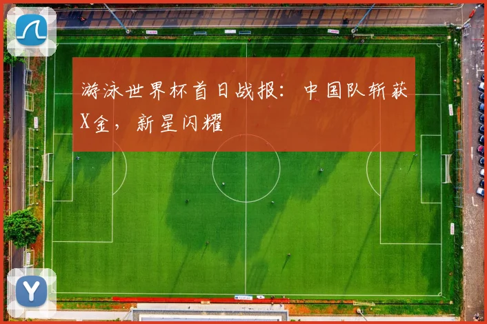 游泳世界杯首日战报：中国队斩获X金，新星闪耀