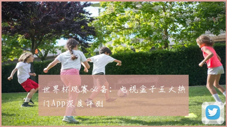 世界杯观赛必备：电视盒子五大热门App深度评测