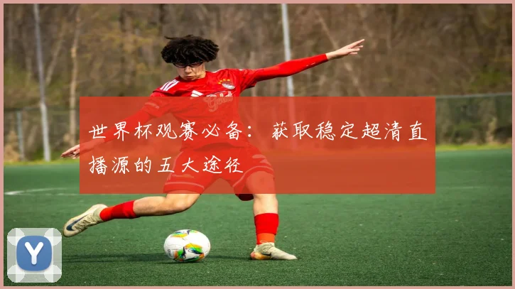 世界杯观赛必备：获取稳定超清直播源的五大途径
