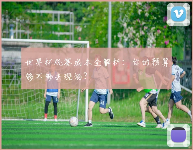 世界杯观赛成本全解析：你的预算够不够去现场？