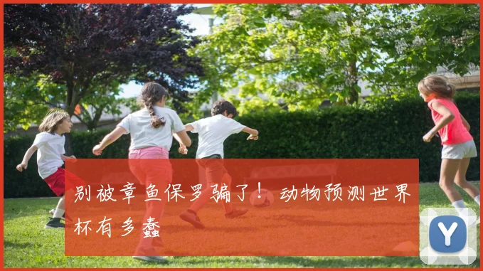 别被章鱼保罗骗了！动物预测世界杯有多蠢