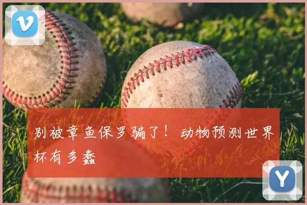 别被章鱼保罗骗了！动物预测世界杯有多蠢